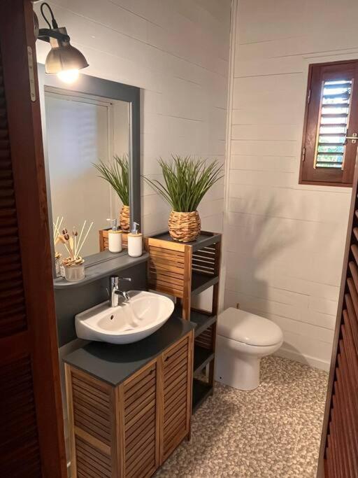 فيلا سانت-روزفي Bungalow Avec Jacuzzi Privatif المظهر الخارجي الصورة